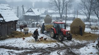 How do people live in remote Carpathian villages? the Maramureș countryside