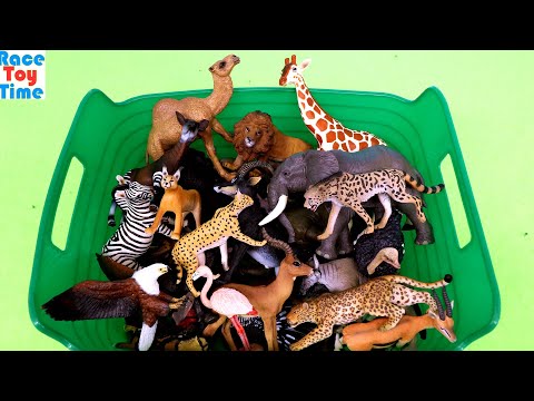 Explore The Beauty of Fun African Safari Animal Figurines – Up Close!