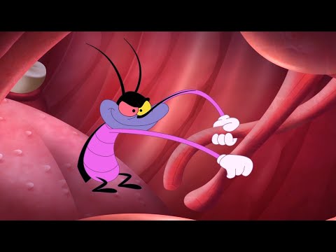 Oggy and the Cockroaches - THE PRANKSTER (S05E74) CARTOON | New Episodes in HD