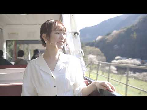 やまぐち映像図鑑 NO.154 とことこトレイン（桜）［岩国市］ | Tokotoko Train Cherry Blossoms [ Iwakuni-city ]