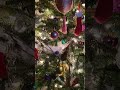 Oh Christmas Tree, 2022