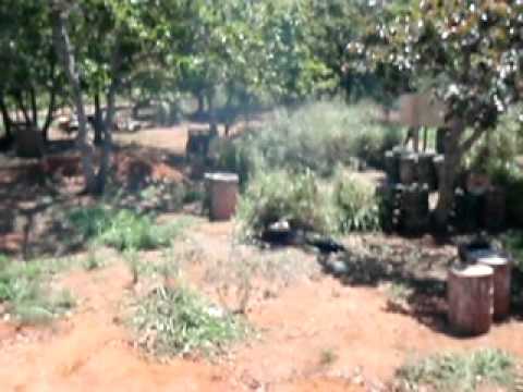 Técnica de rastejamento Giowander