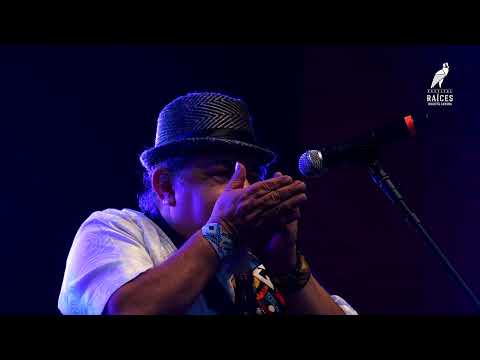 10. Ayahuasca  - Altiplano de Chile