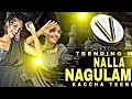 NALLA NAGULAMMO NEW DJ FOLK SONG LATEST DJ SONG #LAVANYASONG #SHIVANIDJSONG #SINGERSHIVAJIOFFICIAL