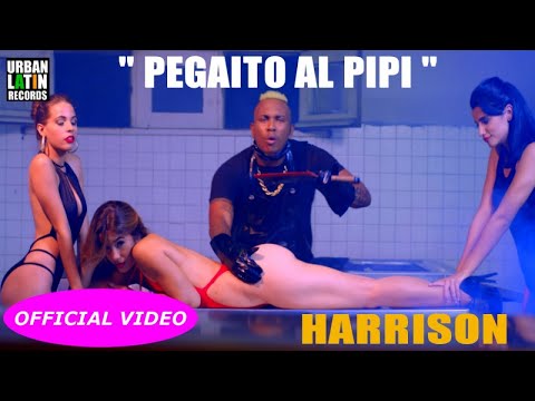 Harryson - Pegaito Al Pipi #reparto #repaton #harryson #reggaetoncubano #repartocubano