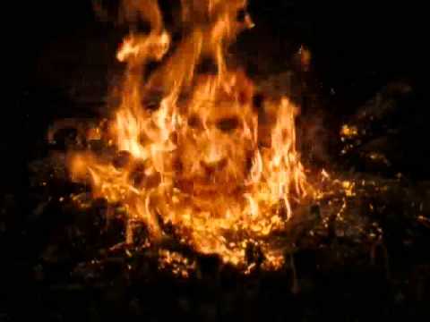 Best of Harry Potter and The Order of the Phoenix: Rifftrax