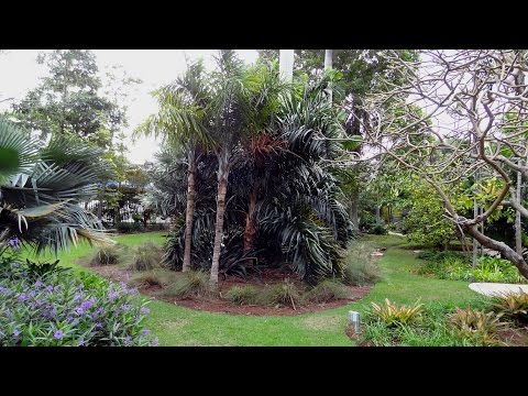 Miami Beach - Botanical Garden