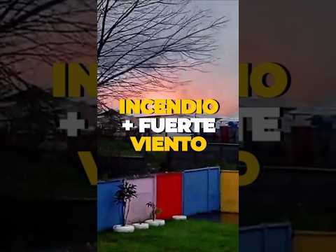 Incendio amenaza con propagarse en Coronel: fuerte viento complica el trabajo de Bomberos