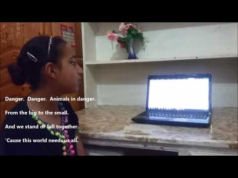 song animals in danger takwa bousbia maztouria