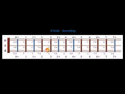 Introduction to the Chromatic Dulcimer,  G Scale