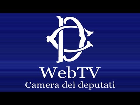 webtv.camera.tv - Audizioni su ordinamento e struttura di Inps e Inail - (18-12-2018)