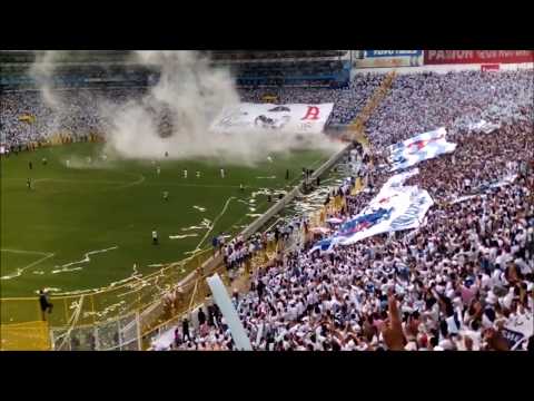 "Lo mejor de Alianza F.C es su gran afición final 2017" Barra: La Ultra Blanca y Barra Brava 96 • Club: Alianza