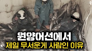 원양어선에 탔다가 당할 수 있는 충격적인 일들 ㅣ원양어선 3부