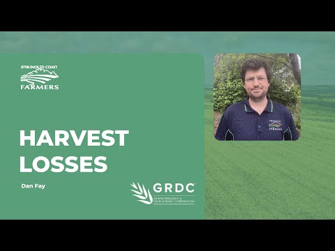 SCF TRD - Harvest Losses - Dan Fay