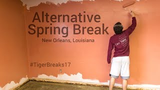 Alternative Spring Break 2017