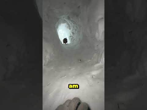 Wer von euch hat Schonmal ein iglo gebaut?