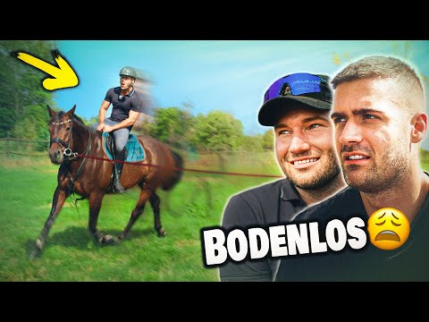 POV: You are doing an internship at a horse farm