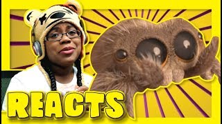 Lucas The Spider New Friend | Animation Reaction
