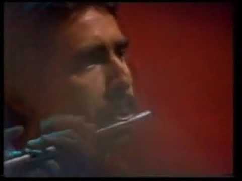 Danza di Cala Luna -  classical guitarist John Williams and Paco Peña,