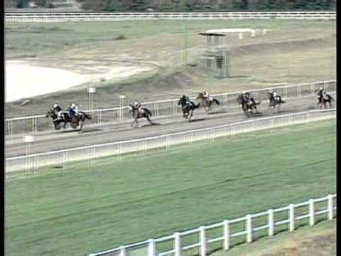 8 futam Nagyszénási HP II. rész