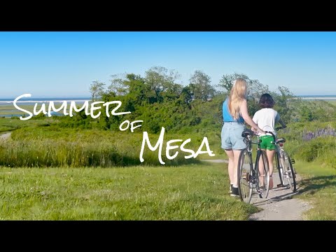 Summer of Mesa (2020)