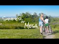 Summer Of Mesa 2020