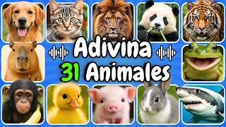 Adivina 31 ANIMALES Por El SONIDO😱❤️20 MINUTOS De ANIMALES❤️León🦁Tigre🐯Capibaras😍Gatitos❤️Perritos🐶