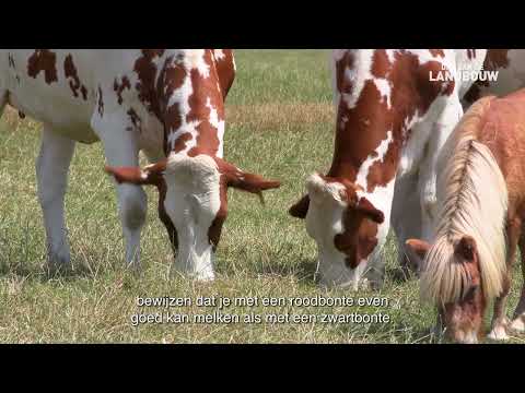 Dag van de Landbouw 2023: Familie Latré - De Coninck