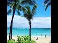 ALOHA Hawaiians 🌴🌊