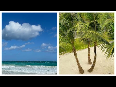 Hotel Riu Republica 5 stele din Punta Cana: paradis sau dezamagire? #538