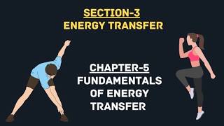 Energy Transfer Fundamentals | Physiology Made Easy
