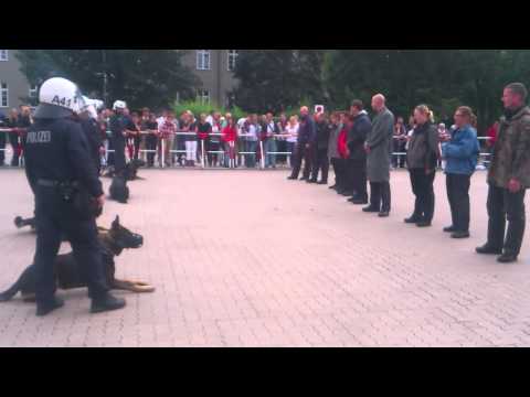 Polizei Hundestaffel Schutzhund Demonstration- police dog unit guard demonstration