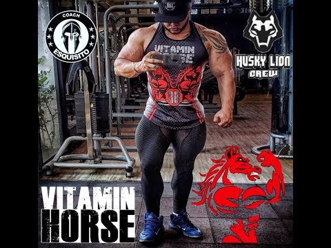 Husky Lion - Vitamin Horse ♪