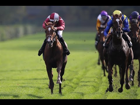 Krefeld: Großer Preis des Weingutes Lucashof Herzog von Ratibor Rennen (Gr. III)