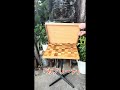 万博：大屋根リングがテーブルに！♻️🤣カブリ〜ナとは？