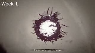 Destiny 2 Forsaken - Curse weeks 1 - 22 (+subtitles)