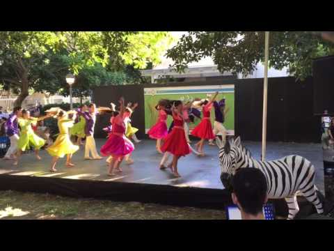 Aviv Mecholot אביב מחולות 3