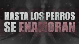 Los Perros Se Enamoran Remix