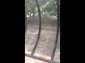 Вот такое лето в Ильичевске)) 