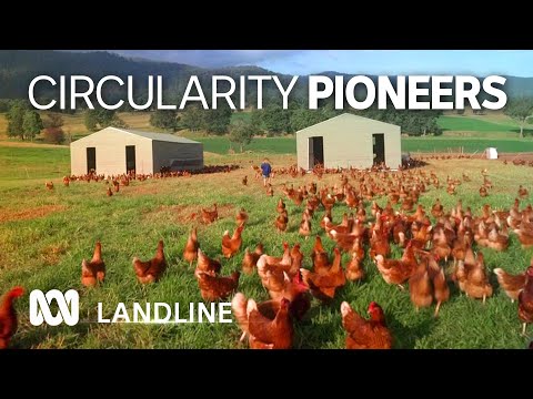 Bega's bid to become a circular economy to reduce waste ️ 🥛🧀 ️ ABC Australia