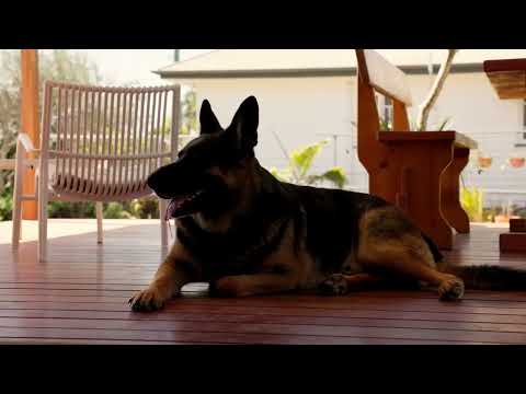 Video for 3 Brighton Lane, Brighton  QLD  4017