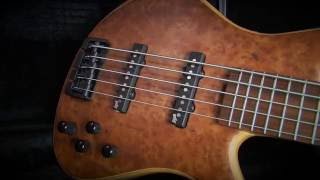 Bass Club Chicago Demo - Roscoe Century Standard 5 Plus