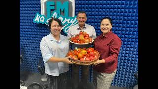 О заготовке семян томатов