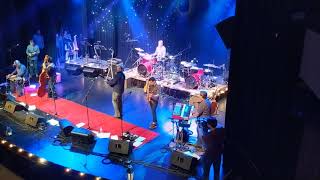 Blue Dogs - Make Your Mamma Proud (live)