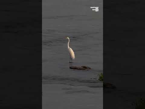Naturaleza y las mejores vistas!!! Las Termas lo tienes todo #termasderiohondo