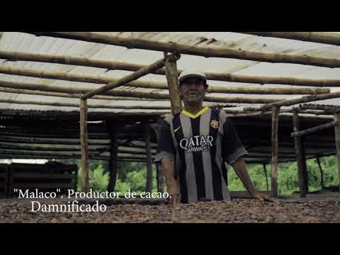 Korin Chocolate inicios