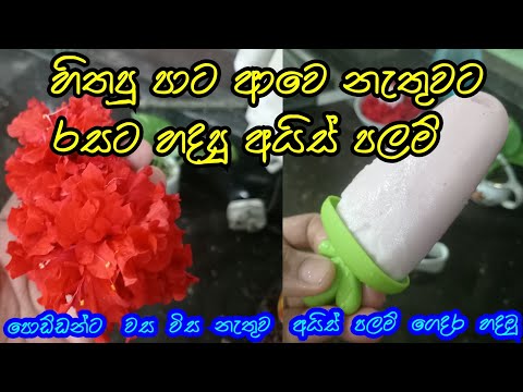 පාට නැතෝ රස ඇතෝ@dilrukshiwaththage6775  #food #cookingrecipes #viralvideos 