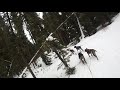 GSP Mushing Dog Team AB Canada