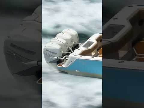 2018 SeaVee 390 #shorts