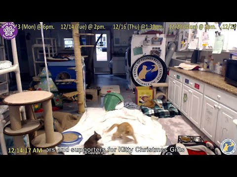 Stan's 2021-12-12 Alma's wild fun